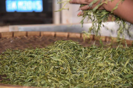 炒青綠茶與綠茶的區(qū)別，烘青和炒青哪個(gè)好喝？