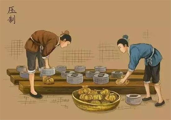 制茶八步驟，制茶工藝流程圖