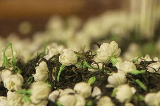 蒸茶器可以蒸花茶嗎，蒸茶器能用來蒸茉莉花茶嗎？