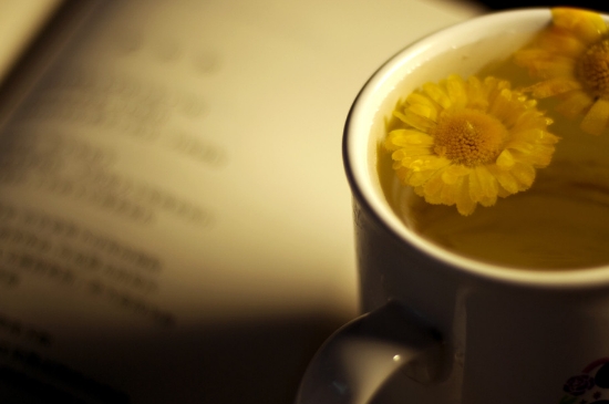 經(jīng)常菊花泡水好嗎，喝菊花茶有什么好處？