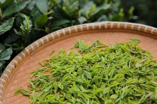 炒青綠茶與綠茶的區(qū)別，烘青和炒青哪個(gè)好喝？