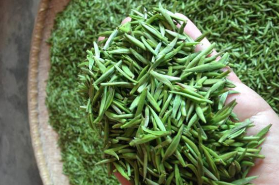 采茶的方法與步驟，如何正確采摘茶葉？