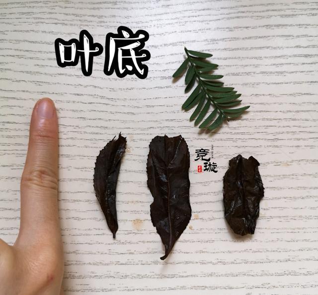 正山小種很細(xì)還很黑亮，正山小種越細(xì)越好嗎