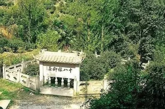 母樹大紅袍給誰喝了，為什么母樹大紅袍叫三棵六株？