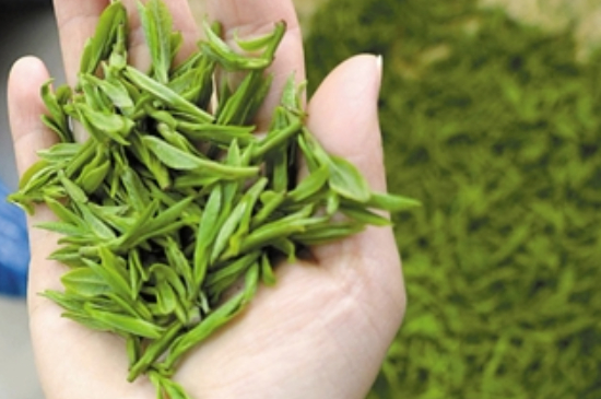 潮汕炒茶屬于什么茶，潮汕炒茶是綠茶嗎？