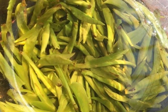 龍井是明前的好還是雨前的好，明前茶和雨前茶哪個(gè)好喝？