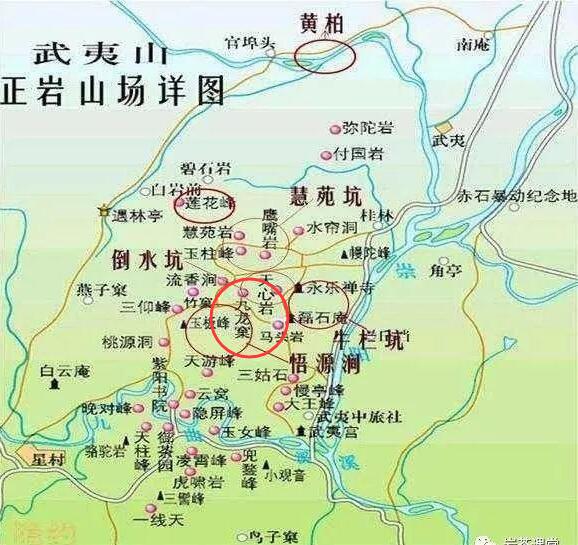 母樹大紅袍給誰喝了，為什么母樹大紅袍叫三棵六株？
