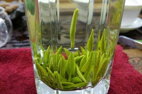 雀舌有一股青草味，雀舌為什么有青草味？