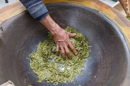 雀舌有一股青草味，雀舌為什么有青草味？