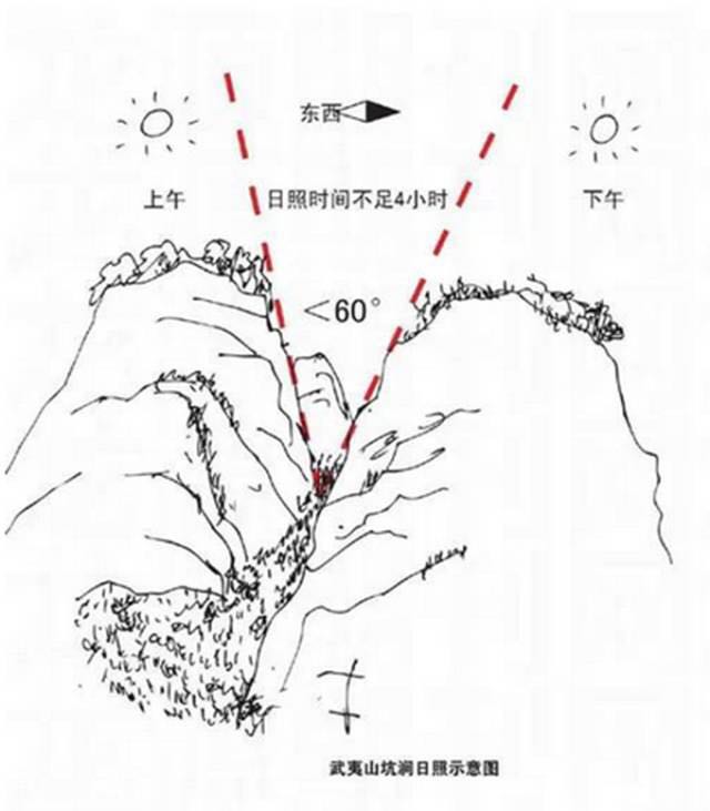 武夷山為什么盛產(chǎn)茶葉，武夷山茶為什么好喝？