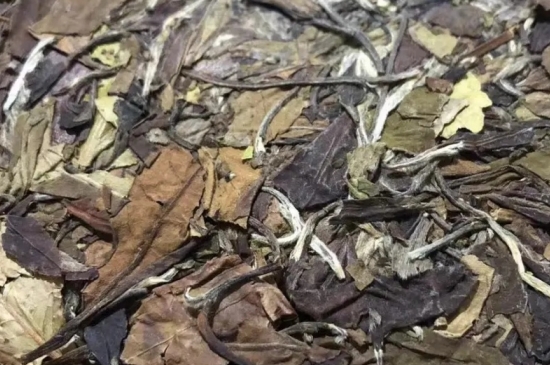 老白茶上火還是去火？夏季喝煮的老白茶會容易上火！
