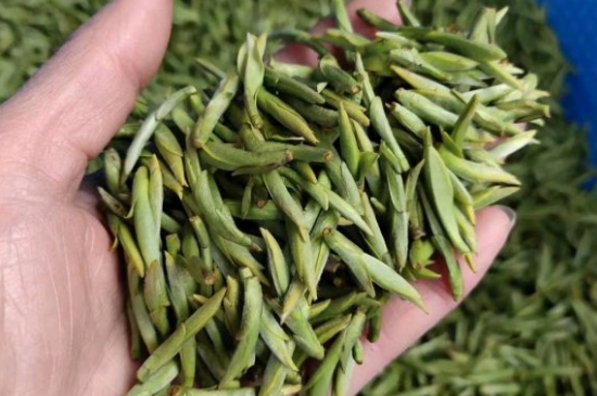 龍井茶好壞的鑒別圖片，如何區(qū)別龍井茶的好壞？