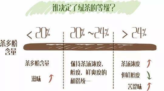 什么綠茶口味重口感濃郁，口味比較重的綠茶都有那些？