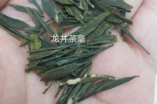 西湖龍井茶毫和發(fā)霉區(qū)別圖片，長霉的龍井茶葉會(huì)是什么樣？