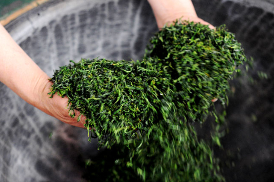 潮汕炒茶屬于什么茶，潮汕炒茶是綠茶嗎？