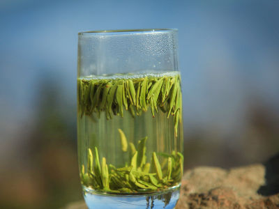 竹葉青茶怎么樣，檔次較高味道略苦價格比較貴
