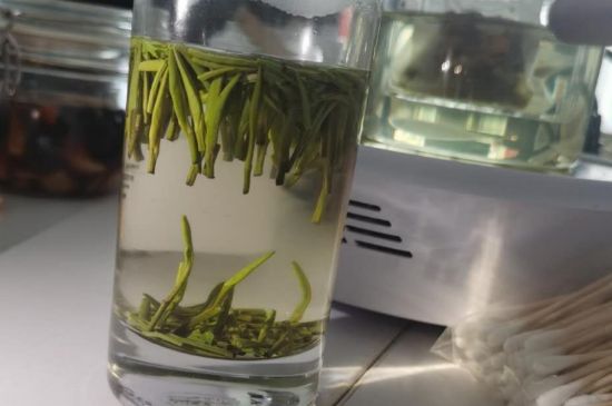 金壇雀舌算不算好茶，金壇雀舌屬于什么檔次茶葉？