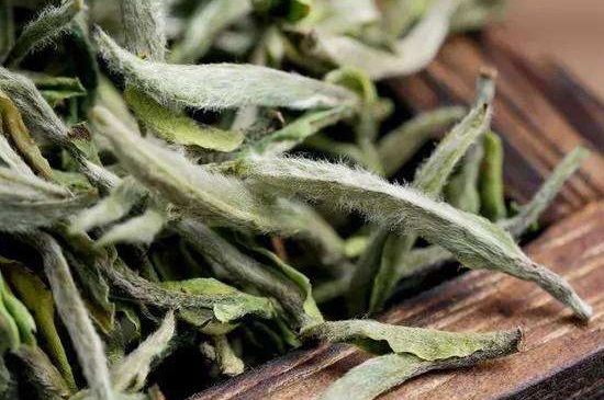 荒野銀針有什么特點，荒野銀針的味道口感咋樣？