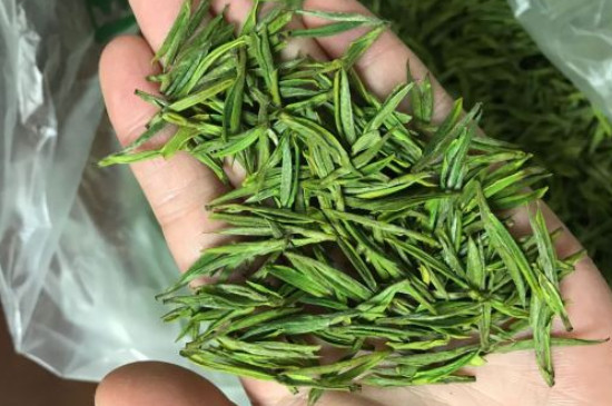什么綠茶茶葉唇齒留香，哪個(gè)品種綠茶香氣好？