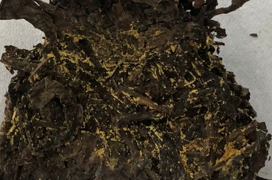 怎么知道涇渭茯茶是否變質(zhì)，茯磚茶金花和發(fā)霉的區(qū)別