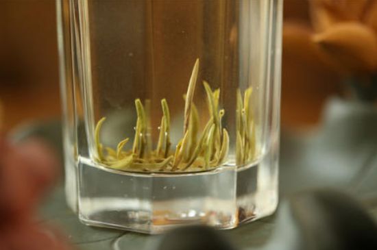 踏雪蘭妃是什么茶，踏雪蘭妃是哪里的茶葉?