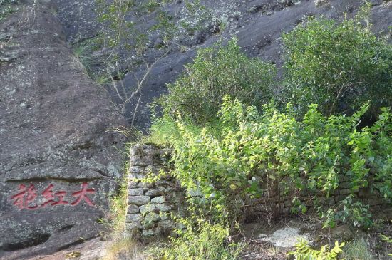 母樹大紅袍給誰喝了，為什么母樹大紅袍叫三棵六株？