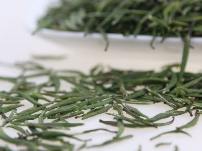 霍山黃芽算是好茶嗎，霍山黃芽屬于什么茶？
