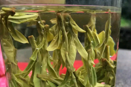什么綠茶最香最好喝，綠茶口感與香氣排名