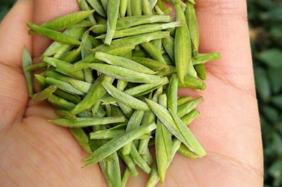 什么綠茶味道濃香，那個(gè)綠茶比較濃香？