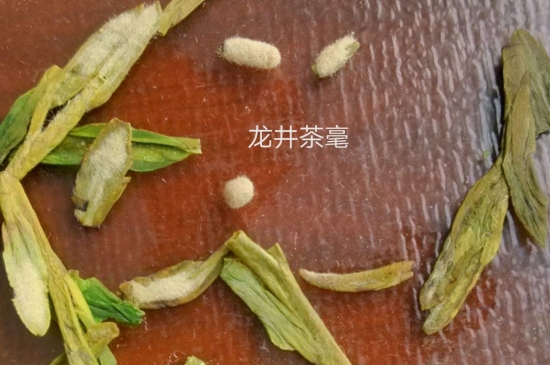 西湖龍井茶毫和發(fā)霉區(qū)別圖片，長霉的龍井茶葉會(huì)是什么樣？