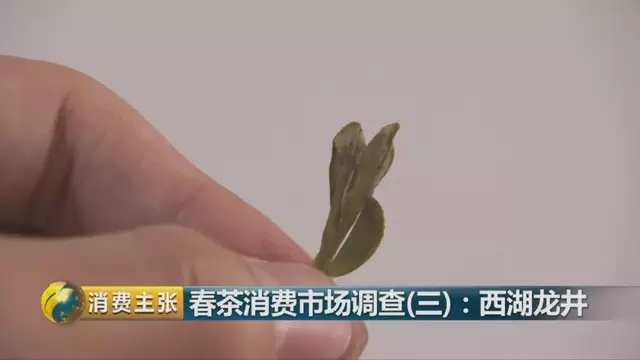 龍井群體種和43號(hào)的區(qū)別圖片，龍井43和群體種哪個(gè)好喝？