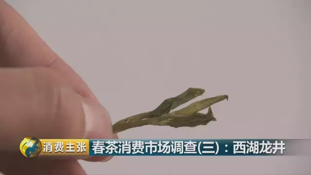 龍井群體種和43號(hào)的區(qū)別圖片，龍井43和群體種哪個(gè)好喝？