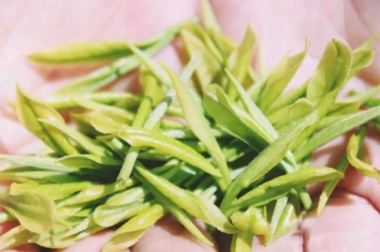 龍井是明前的好還是雨前的好，明前茶和雨前茶哪個(gè)好喝？