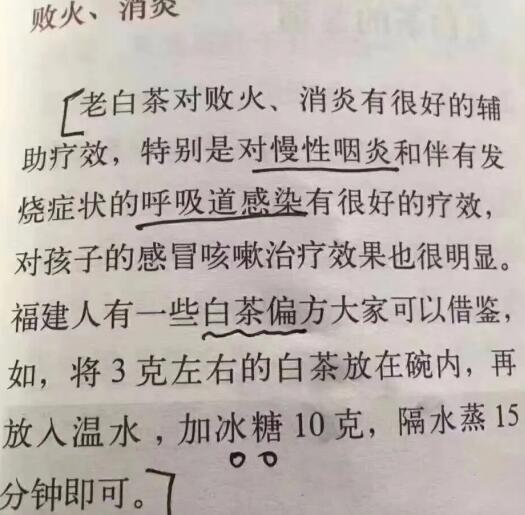 老白茶上火還是去火？夏季喝煮的老白茶會容易上火！
