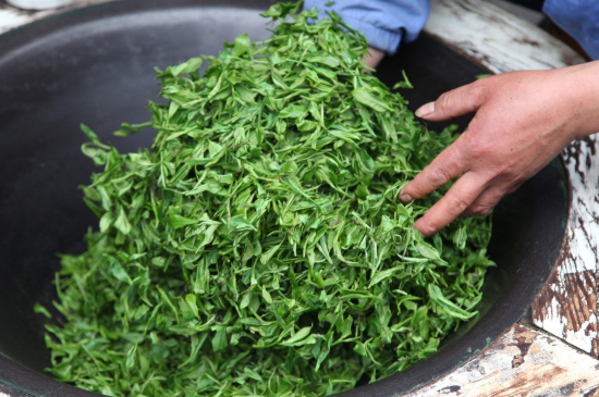 潮汕炒茶屬于什么茶，潮汕炒茶是綠茶嗎？