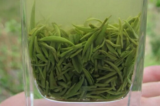 什么綠茶茶葉唇齒留香，哪個(gè)品種綠茶香氣好？