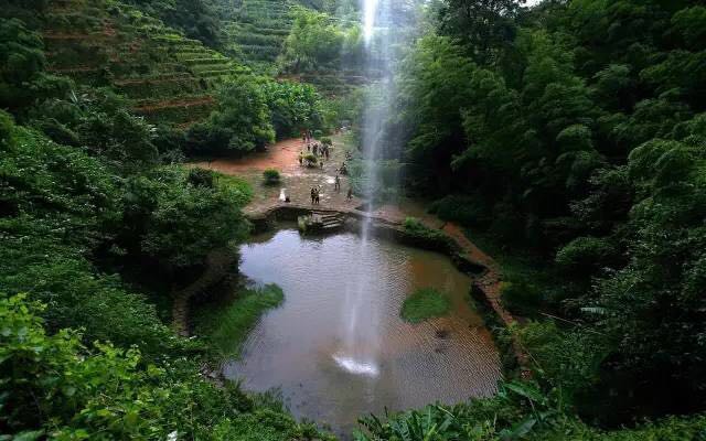 武夷山為什么盛產(chǎn)茶葉，武夷山茶為什么好喝？