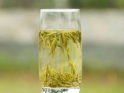霍山黃芽算是好茶嗎，霍山黃芽屬于什么茶？