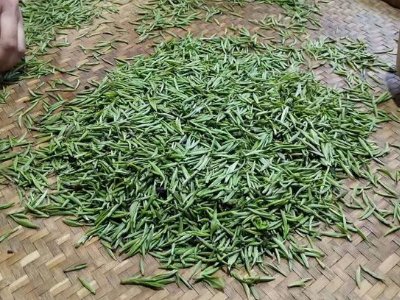 金駿眉幾年可以算陳茶，金駿眉新茶好還是老茶