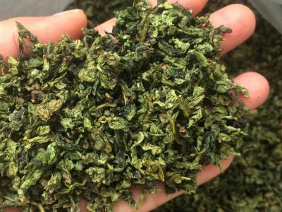 鐵觀音毛茶茶?？梢耘菟葐?，鐵觀音帶梗是不是好茶？