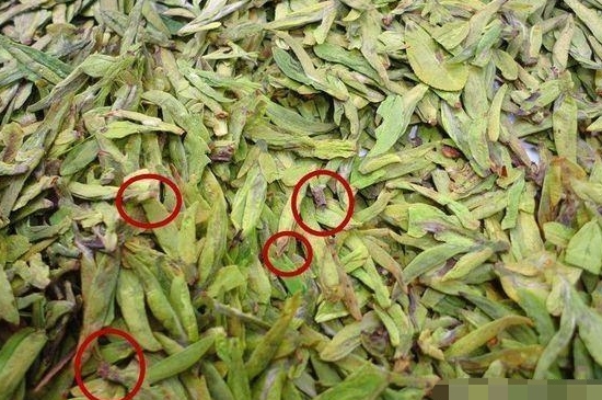 烏牛早和龍井的區(qū)別圖片，龍井43號和烏牛早茶的對比