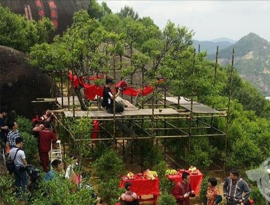宋種一號價值為什么高，鳳凰單樅宋種1號價格與產(chǎn)量多少？