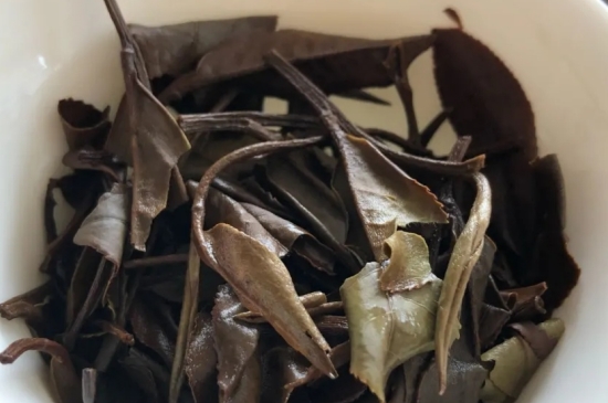 老白茶上火還是去火？夏季喝煮的老白茶會容易上火！
