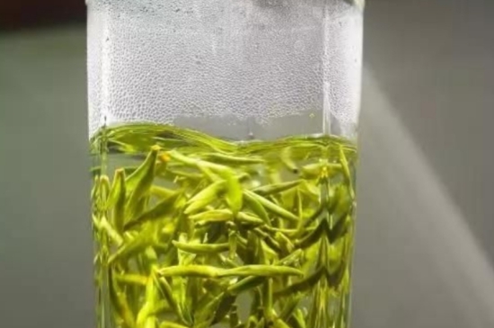 西湖龍井茶毫和發(fā)霉區(qū)別圖片，長霉的龍井茶葉會(huì)是什么樣？