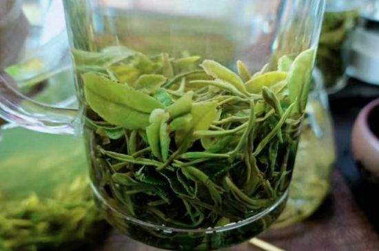 什么綠茶味道濃香，那個(gè)綠茶比較濃香？