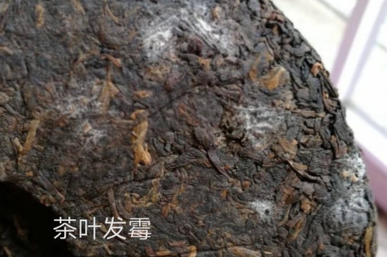 西湖龍井茶毫和發(fā)霉區(qū)別圖片，長霉的龍井茶葉會(huì)是什么樣？